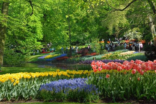 Shangrala's Keukenhof Gardens