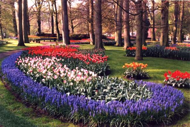 Shangrala's Keukenhof Gardens