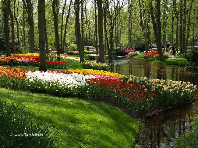 Shangrala's Keukenhof Gardens