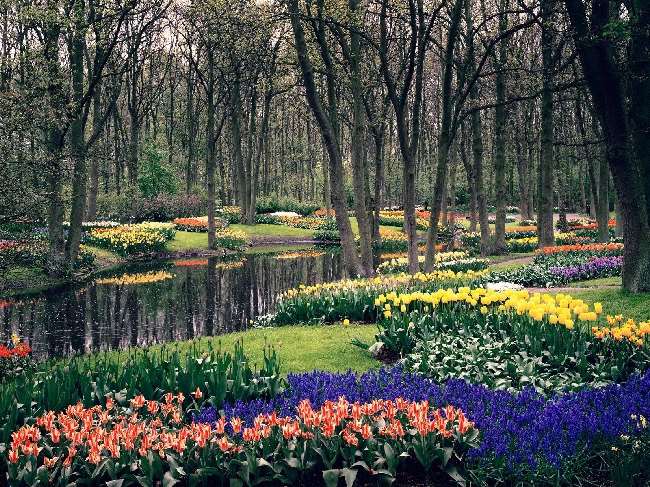 Shangrala's Keukenhof Gardens