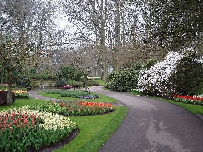 Shangrala's Keukenhof Gardens