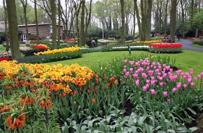 Shangrala's Keukenhof Gardens