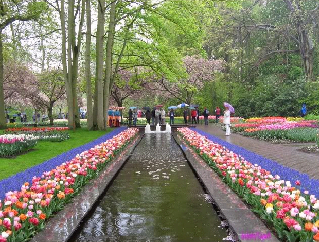 Shangrala's Keukenhof Gardens