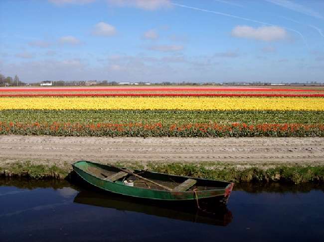 Shangrala's Keukenhof Gardens