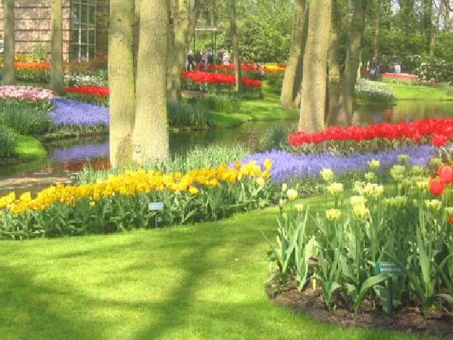 Shangrala's Keukenhof Gardens