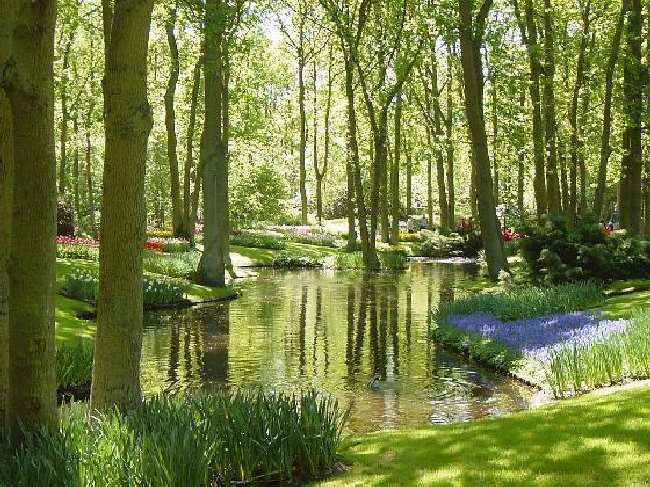 Shangrala's Keukenhof Gardens