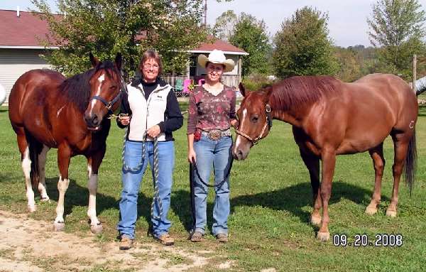 Shangrala's Amazing Horse Trainer