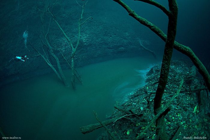 Shangrala's Underwater River