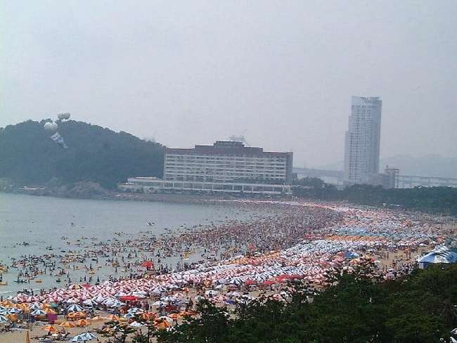 Shangrala's Beaches In South Korea