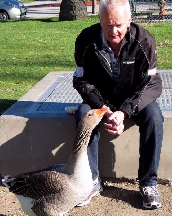 Shangrala's Maria The Goose