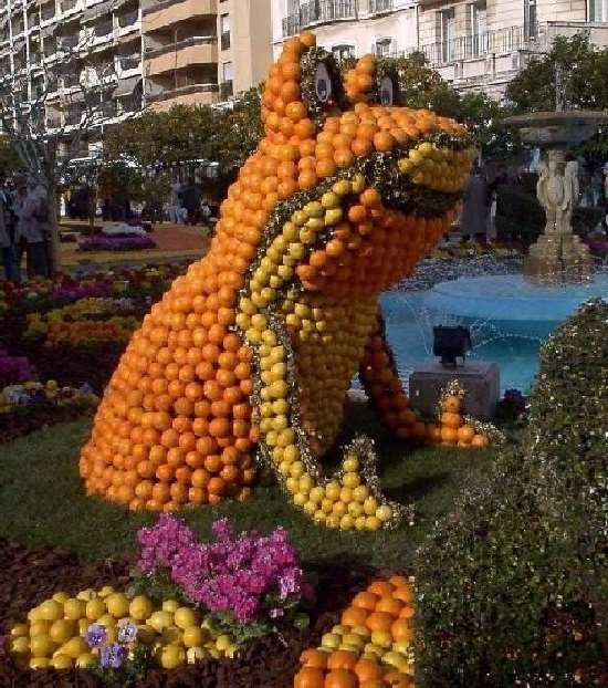 Shangrala's Festival Of Citrus