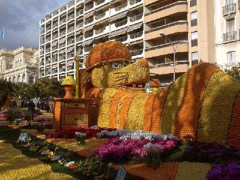 Shangrala's Festival Of Citrus