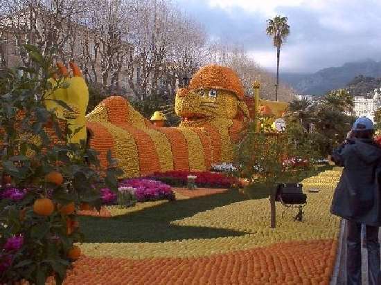 Shangrala's Festival Of Citrus