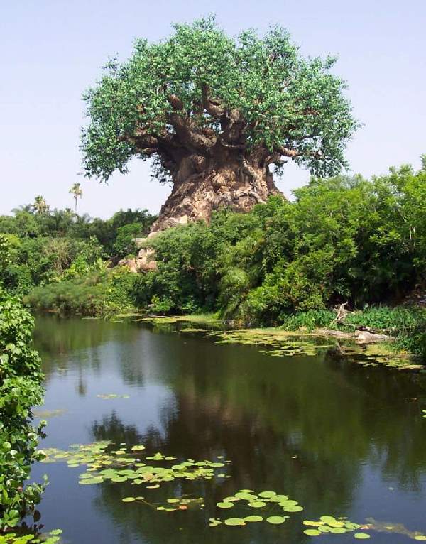 Shangrala's Disney Tree Of Life