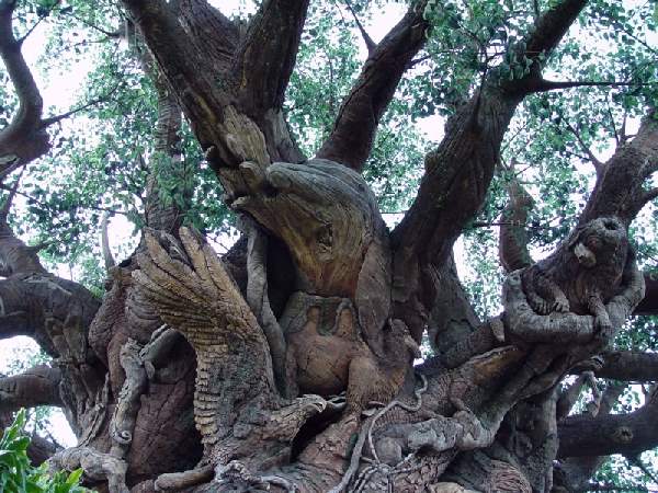 Shangrala's Disney Tree Of Life