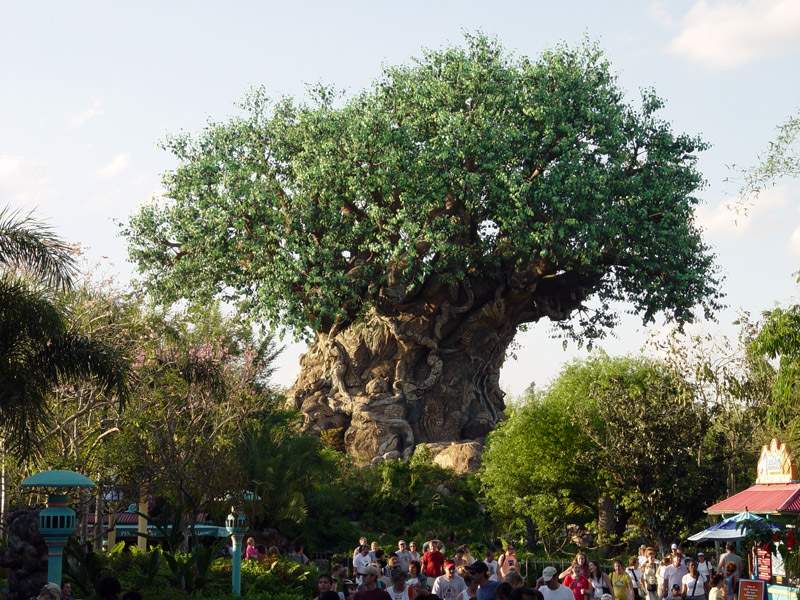 Shangrala's Disney Tree Of Life