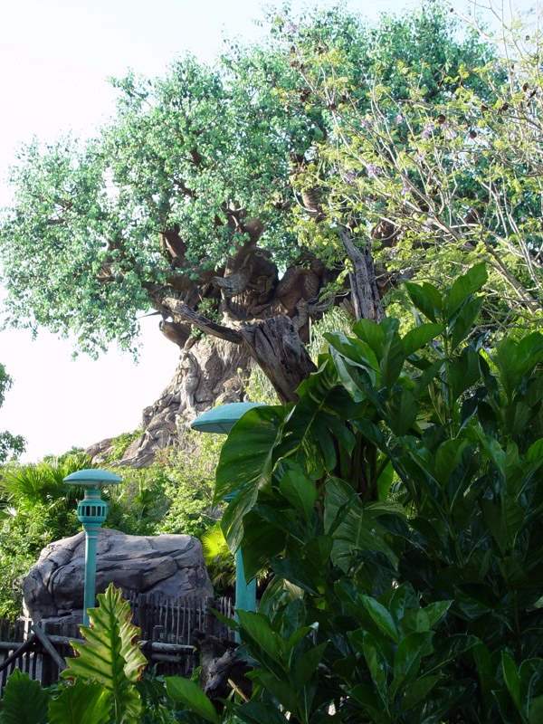 Shangrala's Disney Tree Of Life