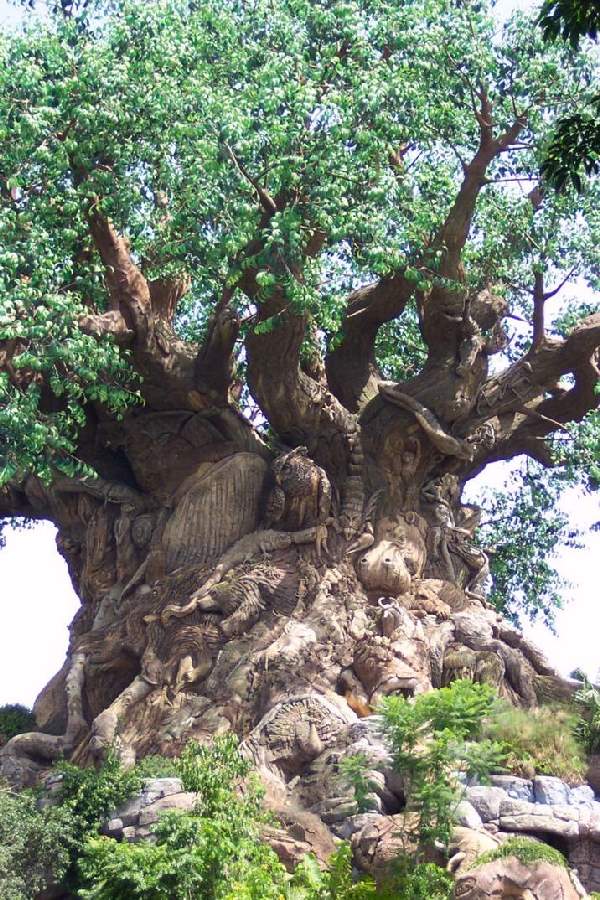 Shangrala's Disney Tree Of Life