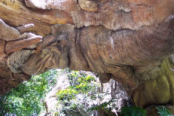 Shangrala's Disney Tree Of Life