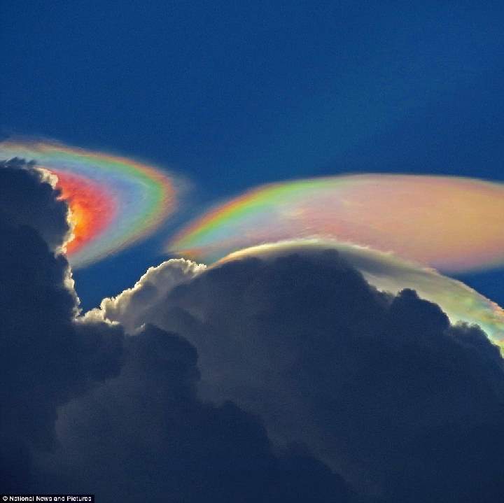 Shangrala's Fire Rainbow Cloud