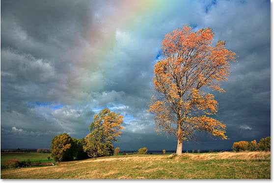 Shangrala's Fire Rainbow Cloud