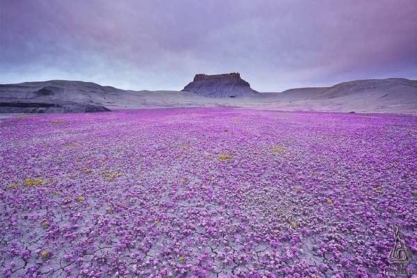 Extraordinary Photos