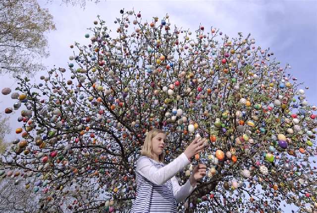 Shangrala's Volker's Easter Tree