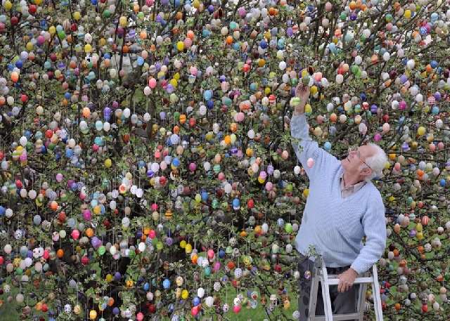 Shangrala's Volker's Easter Tree