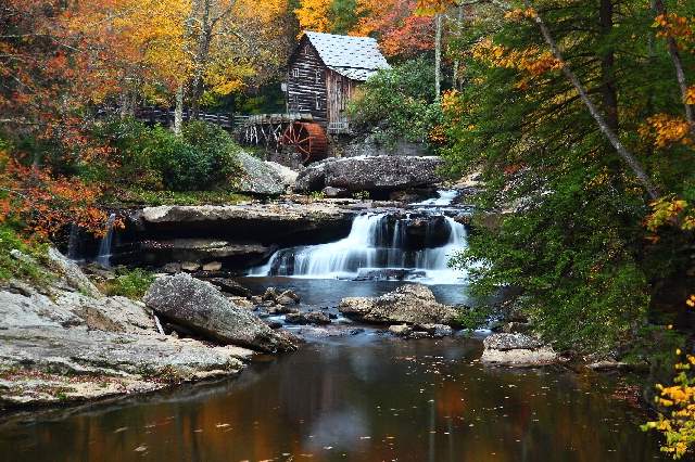 Shangrala's Rainbows Of Fall!