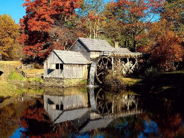 Shangrala's Rainbows Of Fall!