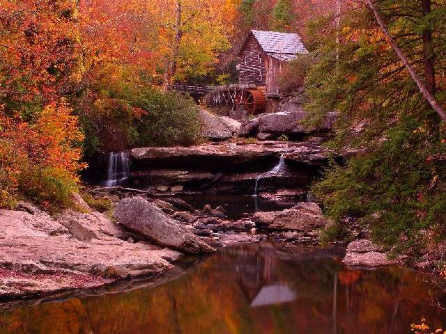 Shangrala's Rainbows Of Fall!