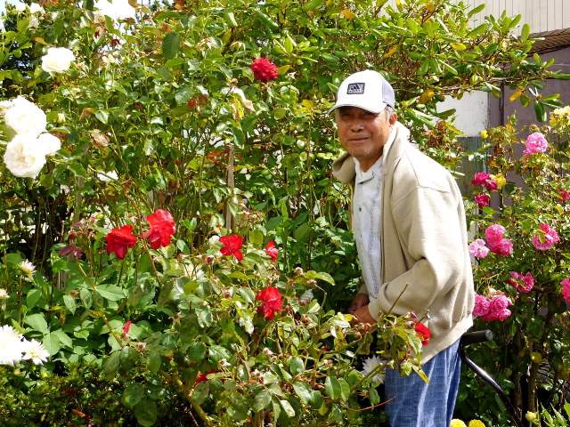 Shangrala's Amazing Home Garden