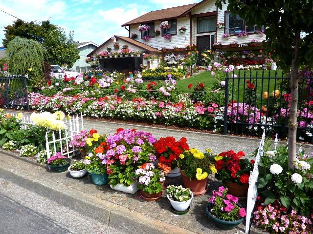 Shangrala's Amazing Home Garden