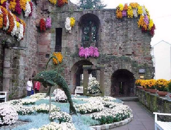 Shangrala's Germany's Chrysanthemum Festival