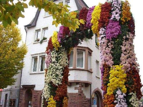 Shangrala's Germany's Chrysanthemum Festival