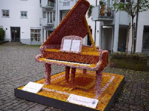 Shangrala's Germany's Chrysanthemum Festival