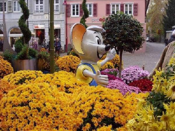 Shangrala's Germany's Chrysanthemum Festival