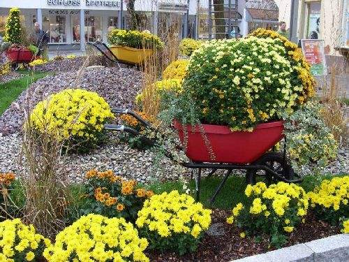 Shangrala's Germany's Chrysanthemum Festival