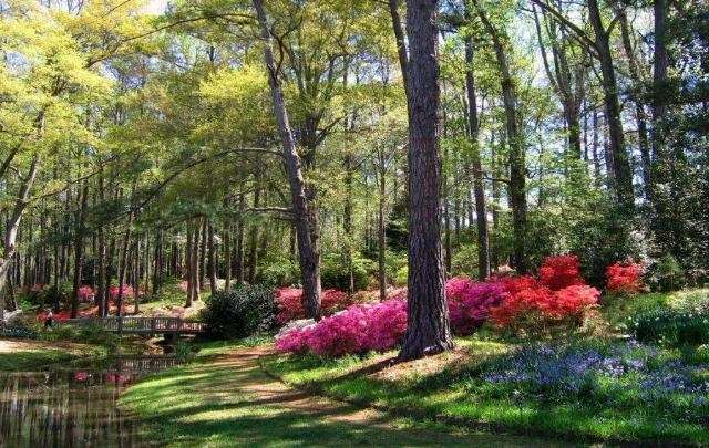 Shangrala's God's Spring Paintings