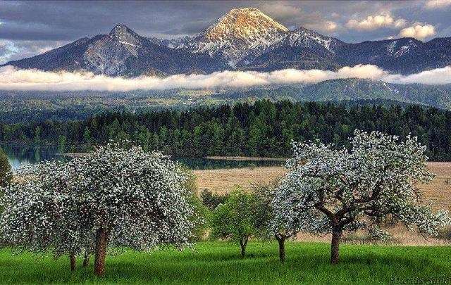 Shangrala's God's Spring Paintings