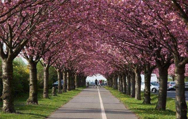 Shangrala's God's Spring Paintings