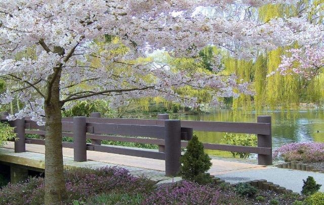 Shangrala's God's Spring Paintings