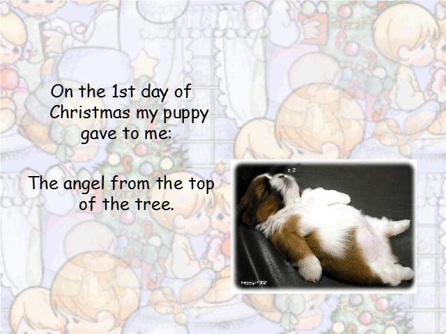 Shangrala's Puppy Days Of Christmas