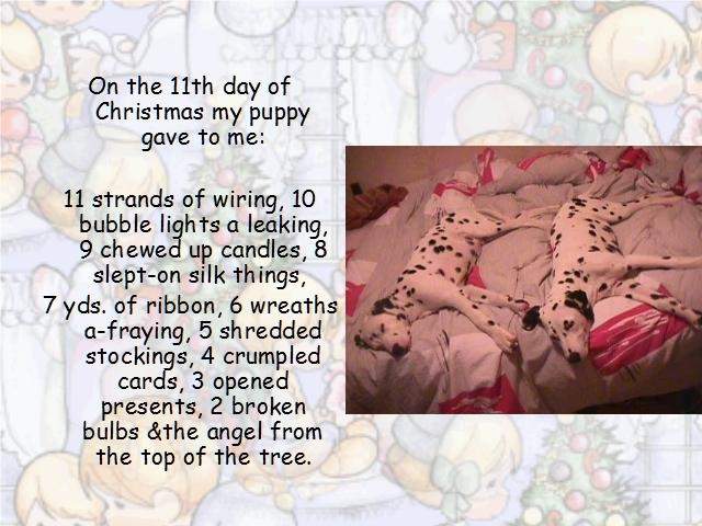 Shangrala's Puppy Days Of Christmas