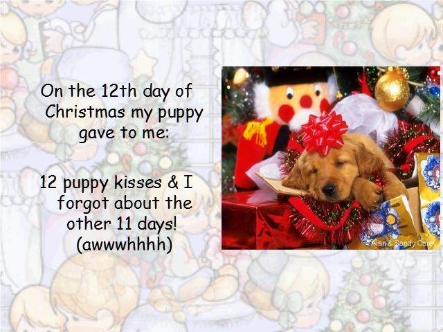 Shangrala's Puppy Days Of Christmas