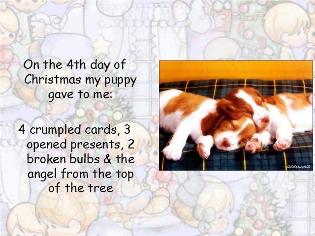 Shangrala's Puppy Days Of Christmas