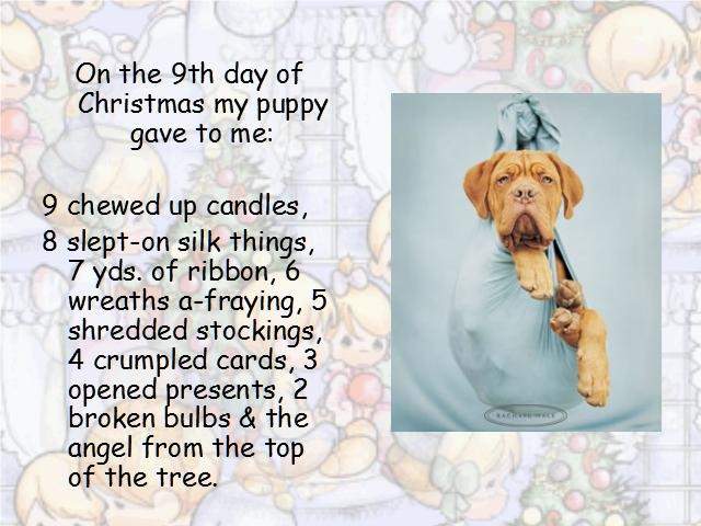 Shangrala's Puppy Days Of Christmas