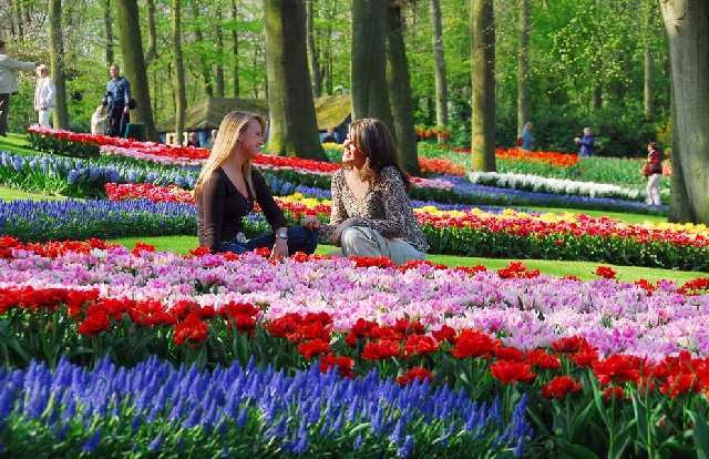 Shangrala's Spring In The Netherlands