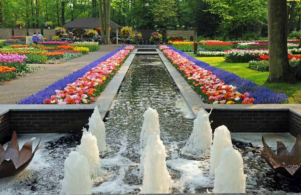 Shangrala's Spring In The Netherlands