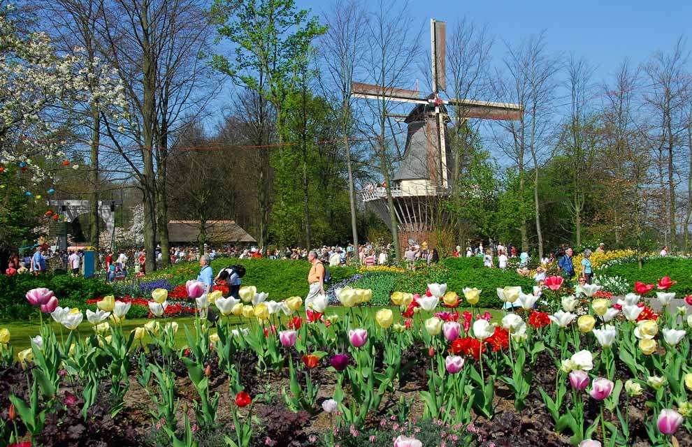 Shangrala's Spring In The Netherlands